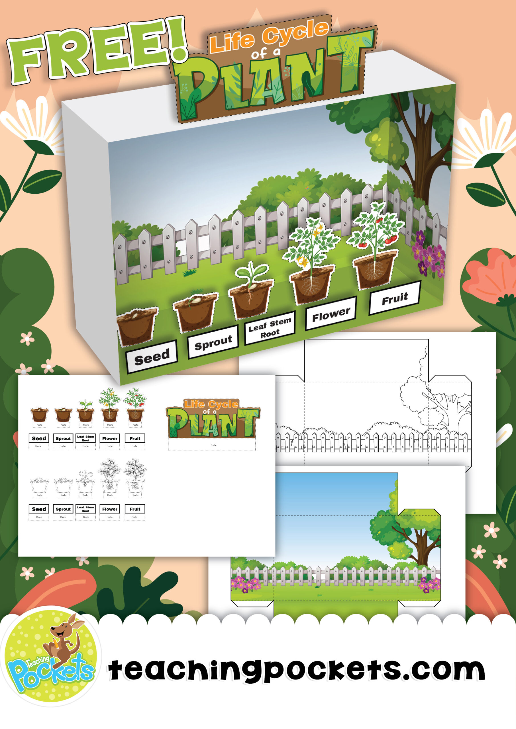 FreeLifeCycleofaPlant scaled craft dioramas ideas & printables for kids – teaching pockets