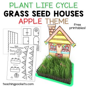 Apple-themed plant life cycle grass seed house craft featuring a colorful paper house surrounded by tall grass in a green tray with a brown fence. Printable templates for house parts and apple decorations are shown on the left. Text highlights "Plant Life Cycle Grass Seed Houses Apple Theme" with free printables, and teachingpockets.com appears at the bottom.